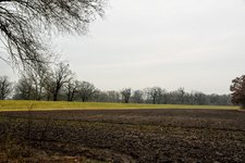 DSC_0211.JPG DSC_0211.JPG