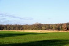 DSC_0205.JPG DSC_0205.JPG