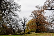 DSC_0032.JPG DSC_0032.JPG