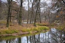 DSC_0076.JPG DSC_0076.JPG