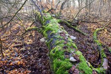 DSC_0114.JPG DSC_0114.JPG