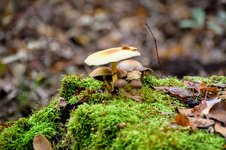 DSC_0416.JPG DSC_0416.JPG