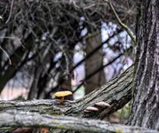 DSC_0038.JPG DSC_0038.JPG