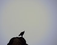 DSC_0177.JPG DSC_0177.JPG