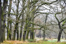 DSC_0036.JPG