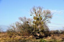 DSC_0151.JPG