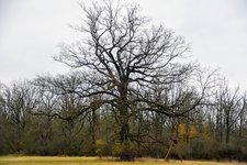 DSC_0048.JPG