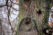 DSC_0030.JPG