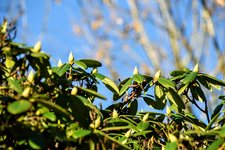 DSC_0080.JPG