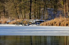 DSC_0169 (1).JPG