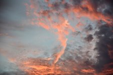 DSC_0076.JPG