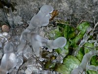 klein_ - 3 (71).jpg