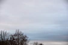 DSC_0022.JPG DSC_0022.JPG