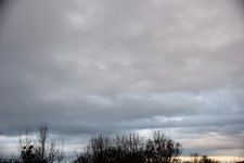 DSC_0067.JPG DSC_0067.JPG
