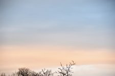 DSC_0045.JPG DSC_0045.JPG