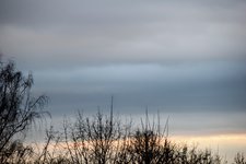 DSC_0042.JPG DSC_0042.JPG