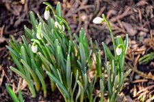DSC_0114.JPG DSC_0114.JPG
