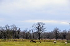 DSC_0144.JPG DSC_0144.JPG
