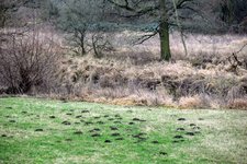 DSC_0162 (1).JPG DSC_0162 (1).JPG