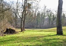 DSC_0168.JPG DSC_0168.JPG