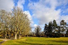 DSC_0179.JPG DSC_0179.JPG