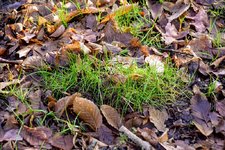 DSC_0015.JPG DSC_0015.JPG