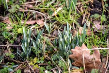 DSC_0162.JPG DSC_0162.JPG