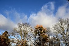 DSC_0189.JPG