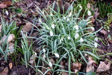 DSC_0012.JPG DSC_0012.JPG