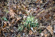 DSC_0032.JPG DSC_0032.JPG