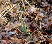 DSC_0034.JPG DSC_0034.JPG