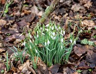 DSC_0041.JPG DSC_0041.JPG