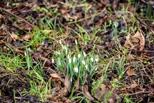 DSC_0034 (1).JPG DSC_0034 (1).JPG