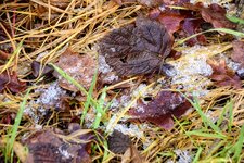 DSC_0047.JPG DSC_0047.JPG