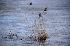 DSC_0037.JPG DSC_0037.JPG