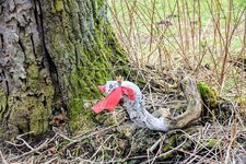 DSC_0166.JPG DSC_0166.JPG