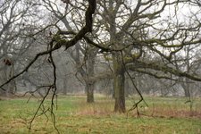 DSC_0177.JPG DSC_0177.JPG