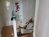 20220210_094709.jpg