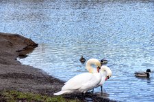 DSC_0042.JPG DSC_0042.JPG