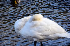 DSC_0078.JPG DSC_0078.JPG