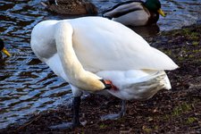 DSC_0083.JPG DSC_0083.JPG