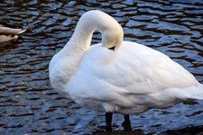 DSC_0074.JPG DSC_0074.JPG