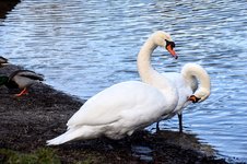 DSC_0046.JPG DSC_0046.JPG