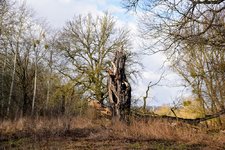 DSC_0122.JPG