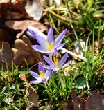 DSC_0053.JPG DSC_0053.JPG