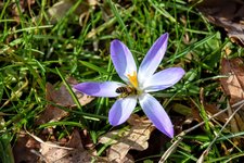DSC_0077.JPG DSC_0077.JPG