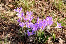 DSC_0224.JPG DSC_0224.JPG