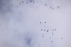 DSC_0056.JPG DSC_0056.JPG