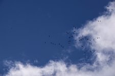 DSC_0064.JPG DSC_0064.JPG