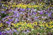 DSC_0323.JPG DSC_0323.JPG